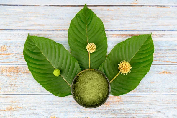 Mitragyna speciosa