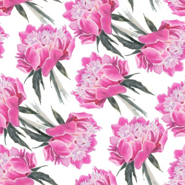 Dikişsiz desen suluboya çiçekli. Pembe Peonies. Resimde çizilmiş. 