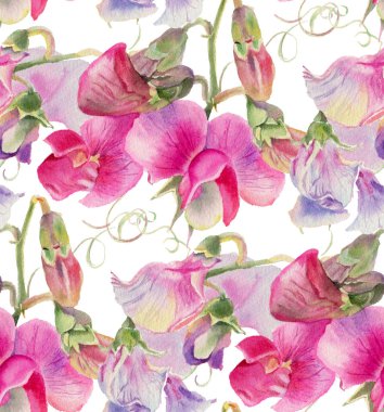 Suluboya kır çiçekleri ile Seamless modeli. Resimde çizilmiş. 