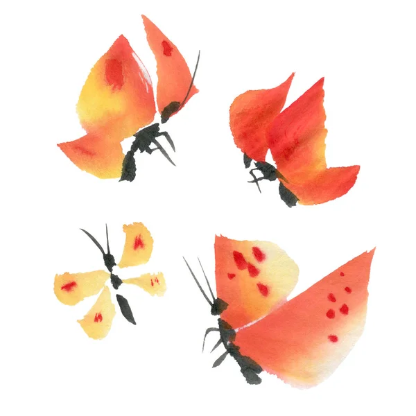 Mariposas Acuarela Anaranjadas Aisladas Sobre Fondo Blanco Ilustración Dibujada Mano —  Fotos de Stock