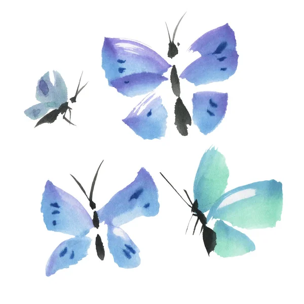 蓝色水彩蝴蝶被隔绝在白色背景 手绘插图 — 图库照片