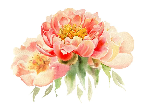 Watercolor Flowers Isolated White Background Pink Peonies Hand Drawn Illustration — Stock Photo, Image