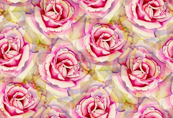 Padrão Sem Costura Com Rosas Aquarela Ilustração Desenhada Mão — Fotografia de Stock