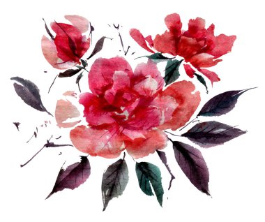 Beyaz arka planda izole edilmiş suluboya çiçekler. El çizimi illüstrasyon. 