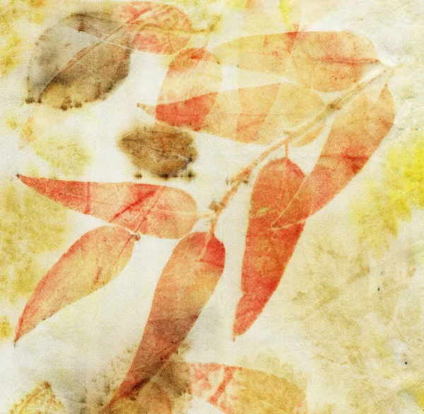 실크에 나뭇잎 식물성 프린트 손으로 — 스톡 사진