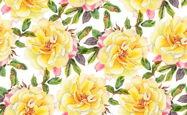 Modello Senza Cuciture Con Rose Acquerello Giallo Sfondo Bianco Illustrazione — Foto Stock