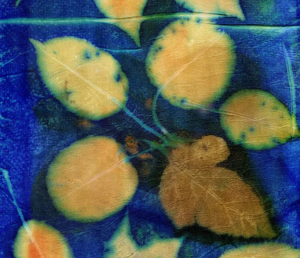 Ботанический Отпечаток Отпечатками Листьев Натуральном Шелке Ручная Иллюстрация — стоковое фото