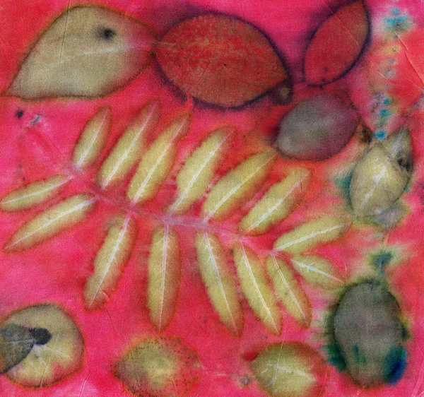 Βοτανικό Αποτύπωμα Αποτυπώματα Φύλλων Φυσικό Μετάξι Χειροποίητη Απεικόνιση — Φωτογραφία Αρχείου