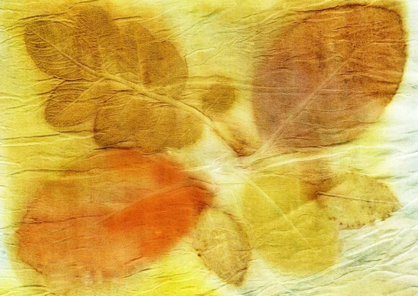 실크에 나뭇잎 식물성 프린트 손으로 — 스톡 사진
