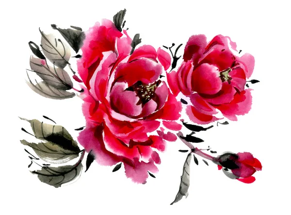 Flores Aquarelas Isoladas Fundo Branco Peônias Ilustração Desenhada Mão — Fotografia de Stock
