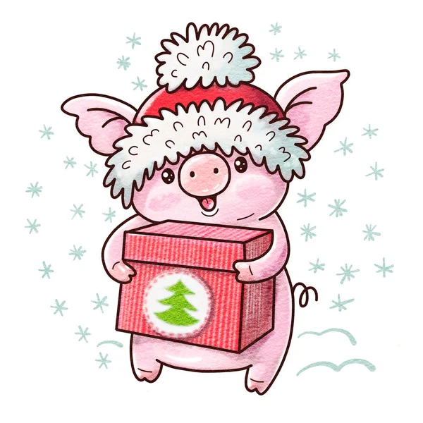 Winter illustration with cute cartoon pig with a gift. Drawing in watercolor and ink.