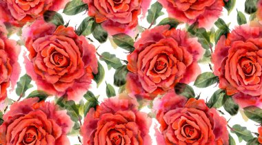 Beyaz zemin üzerine kırmızı sulu boya gül ile Seamless modeli. Resimde çizilmiş. 