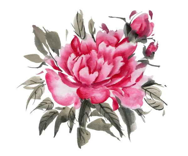 Watercolor Flowers Isolated White Background Peonies Hand Drawn Illustration — Stock Photo, Image