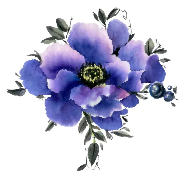 Flores Acuarela Aisladas Sobre Fondo Blanco Anémonas Azules Ilustración Dibujada — Foto de Stock