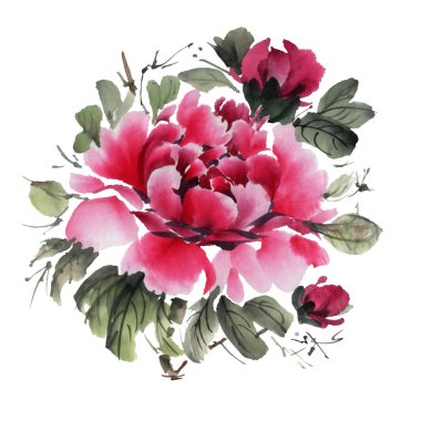 Beyaz arka planda izole edilmiş suluboya çiçekler. Şakayıklar. El çizimi illüstrasyon. 