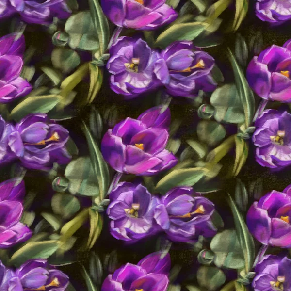 Wzór Kwiatami Czarnym Tle Fioletowe Krokusy Malarstwo Cyfrowe Ręcznie Rysowane — Zdjęcie stockowe