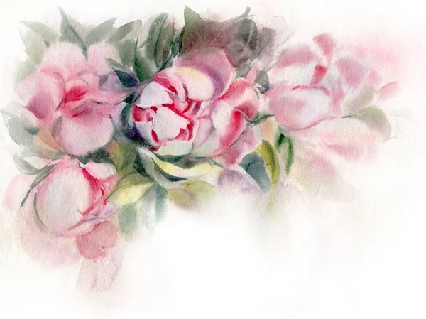 Peonías Rosadas Dibujo Acuarela Peonías Ilustración Dibujada Mano —  Fotos de Stock