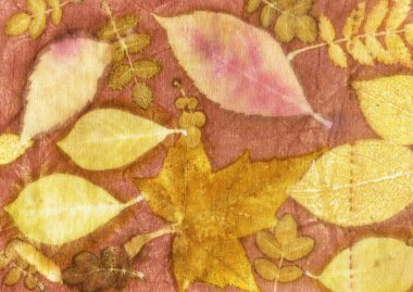 Doğal ipek üzerinde yaprak izleri olan botanik izleri. El çizimi illüstrasyon.