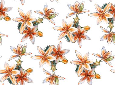 Dikişsiz desen suluboya çiçekli. Tiger zambaklar. Resimde çizilmiş. 