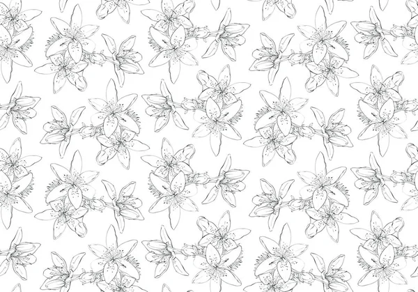 Zwart Wit Naadloze Patroon Met Bloemen Tiger Lelies Handgetekende Illustratie — Stockfoto