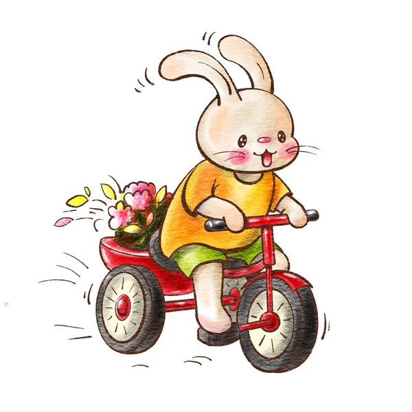 Cute Bunny Bicycle Isolated White Background Drawing Watercolor Ink Hand — Stock Photo, Image