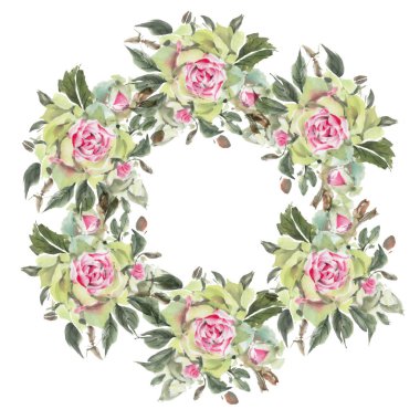 Wreath of roses isolated on white background. Watercolor illustration