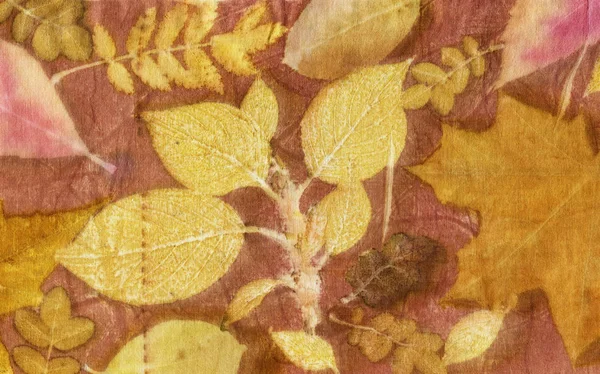 Botanical print with leaf prints on natural silk. Hand-drawn illustration.