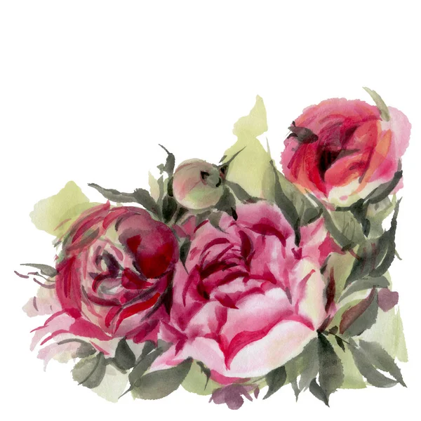 白い背景に孤立した水彩画の花 牡丹です 手描きイラスト — ストック写真