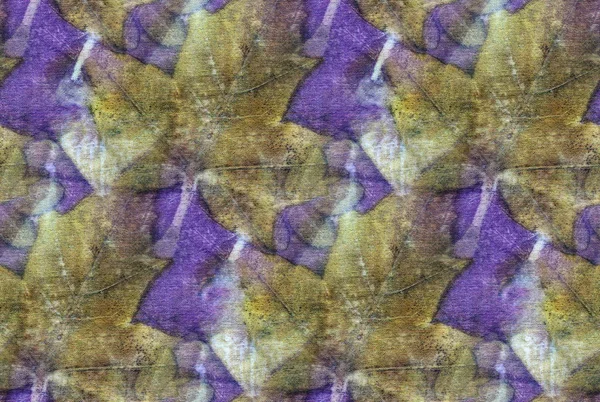 Απρόσκοπτη Βοτανική Εκτύπωση Αποτυπώματα Φύλλων Φυσικό Μετάξι Χειροποίητη Απεικόνιση — Φωτογραφία Αρχείου