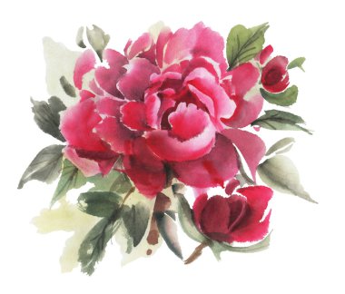 Beyaz arka planda izole edilmiş suluboya çiçekler. Şakayıklar. El çizimi illüstrasyon. 