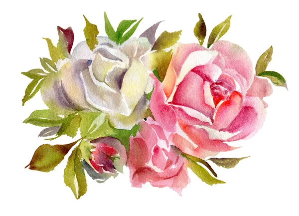 Red Watercolor Roses Isolated White Background Hand Drawn Illustration — Stock Photo, Image