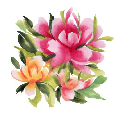 Beyaz arka planda izole edilmiş suluboya çiçekler. El çizimi illüstrasyon. 