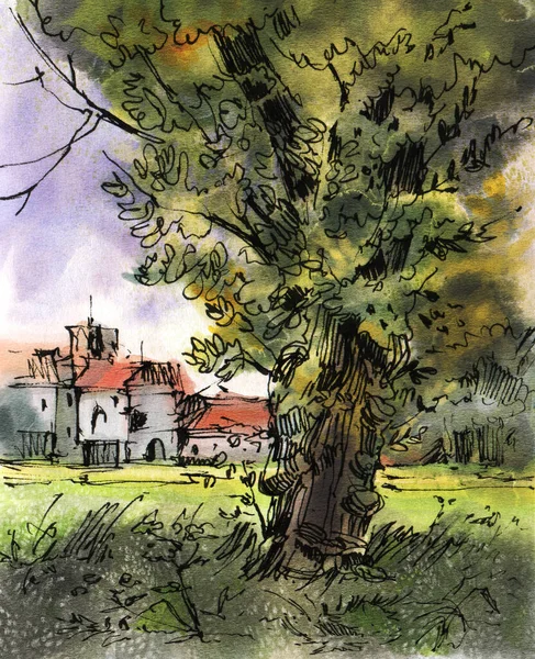 Summer landscape with an old tree and a village. Drawing in ink and watercolor.