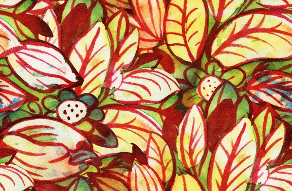 Skomplikowany Wzór Batik Teksturą Tkaniny Płynny Wzór Ilustracja Ręcznie Rysowana — Zdjęcie stockowe