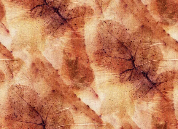 Безшовний Ботанічний Принт Листовими Відбитками Натуральному Шовку Мальована Вручну Ілюстрація — стокове фото