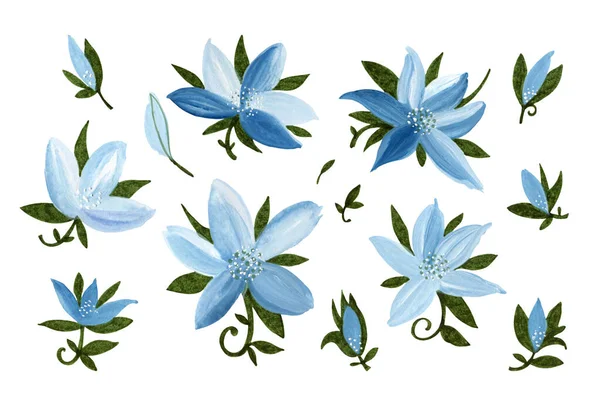 Blue Watercolor Flowers Isolated White Background Hand Drawn Illustration — Stock Photo, Image