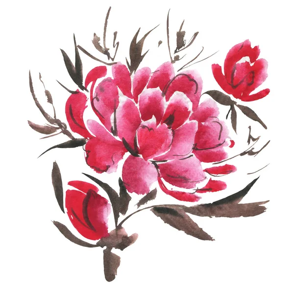 Akwarela Kwiaty Izolowane Białym Tle Piwonie Ilustracja Ręcznie Rysowana — Zdjęcie stockowe