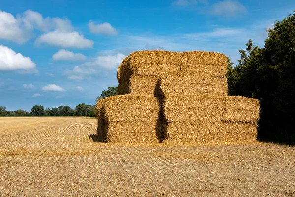 Daytime Sunny Summer Afternoon Bundles of Hay or Straw — Stock Photo, Image