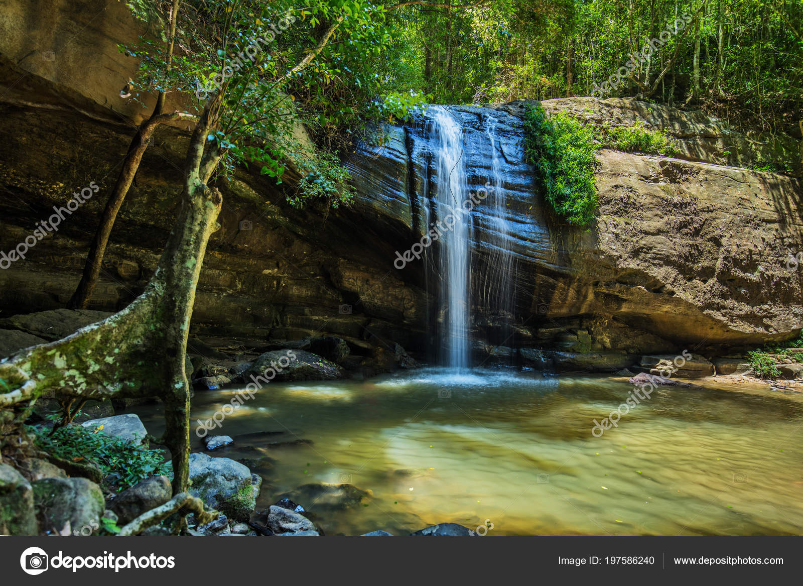 Serenity Falls Swimming Hole Buderim Forest Park Sunshine Coast