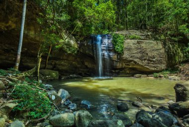 Serenity Falls and a swimming hole in Buderim Forest Park, Sunshine Coast, Queensland, Australia clipart