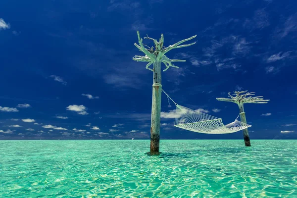 Amaca Vuota Mezzo Alla Laguna Tropicale Isole Maldive — Foto Stock