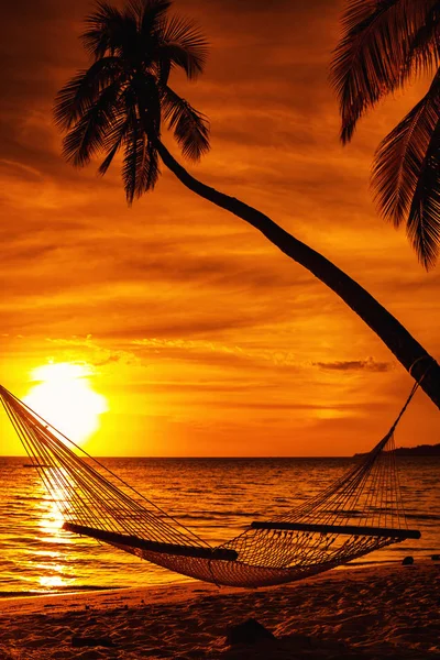 Αιώρα Για Ένα Φοινικόδεντρο Κατά Ηλιοβασίλεμα Στα Τροπικά Νησιά Φίτζι — Φωτογραφία Αρχείου