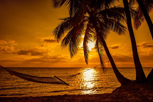 Silhouet Van Hangmat Palm Bomen Een Tropisch Strand Bij Zonsondergang — Stockfoto