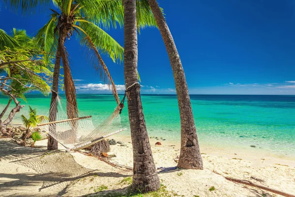 在充满活力的热带斐济岛上的棕榈树的树荫下空吊床 — 图库照片