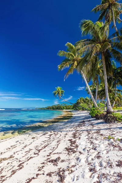 与棕榈树乌波卢的萨摩亚岛南侧令人惊叹的荒凉热带海滩 — 图库照片