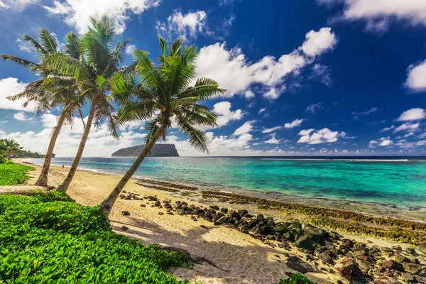 Tropikal Lalomanu Kumsalda Samoa Adaları Ile Ağacı Palmiye Ağaçları Upolu — Stok fotoğraf