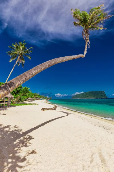 椰子の木と木製嘘サモア島の熱帯の Lalomanu ビーチ — ストック写真