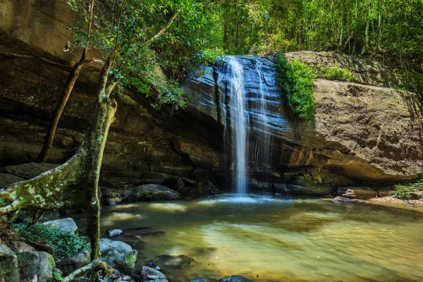 Serenity Falls Una Piscina Nel Buderim Forest Park Sunshine Coast — Foto Stock