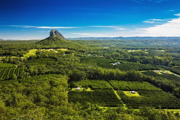 Pohled z vrcholu Mount Ngungun, Glass House hory, Su — Stock fotografie