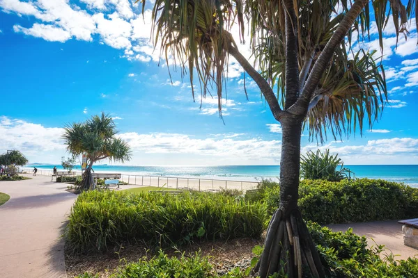 Mooloolaba Australia Luglio 2018 Persone Che Amano Estate Alla Spiaggia — Foto Stock